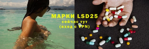 сатива Липки