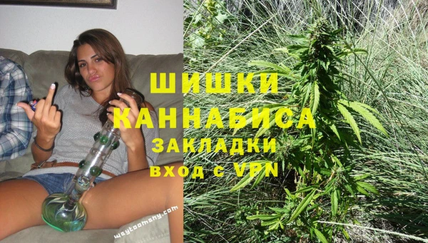 сатива Липки