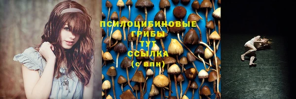 прущая мука Лиски