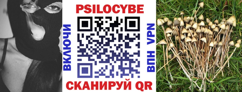 Псилоцибиновые грибы мухоморы  Купить где  Дзержинск 